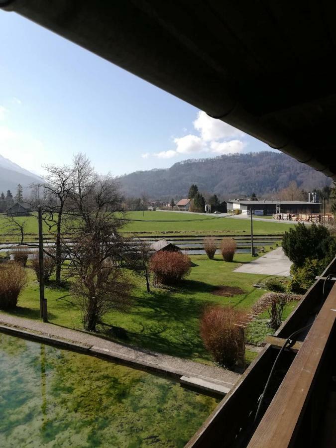 Wieselmuehle Forellenhof Grünau im Almtal Exterior foto