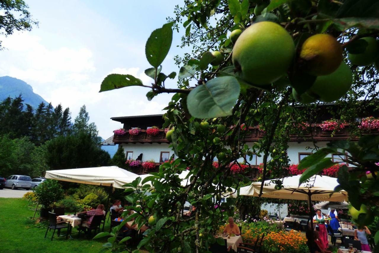 Wieselmuehle Forellenhof Grünau im Almtal Exterior foto
