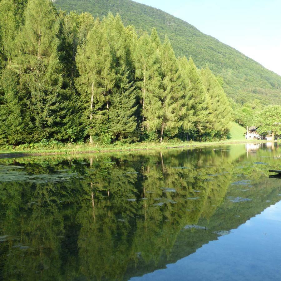 Wieselmuehle Forellenhof Grünau im Almtal Exterior foto